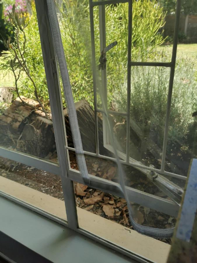 Stew S Room Polokwane Luaran gambar
